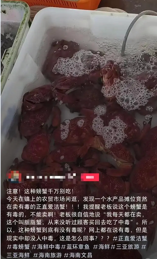 海南一市场被曝卖毒螃蟹 （蓝环章鱼后又现毒螃蟹）