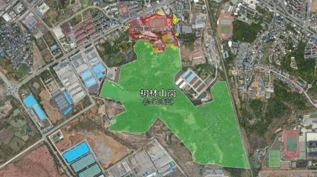 胡鑫宇家属:遗体在学校后山粮库找到 （怎么回事）