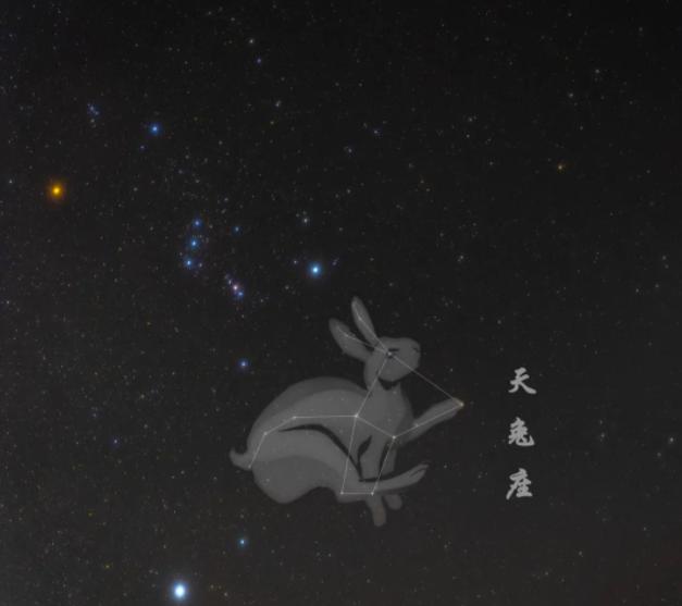 原来兔子有这么多美好的寓意 （是什么呢）