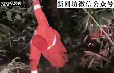 带三胞胎爬五指山三大三小全被困 （是怎么回事）