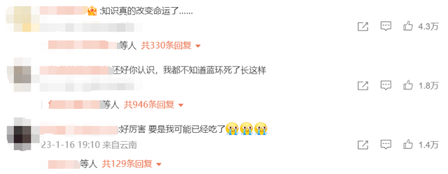 涮火锅发现蓝环章鱼?研究人员回应 有剧毒