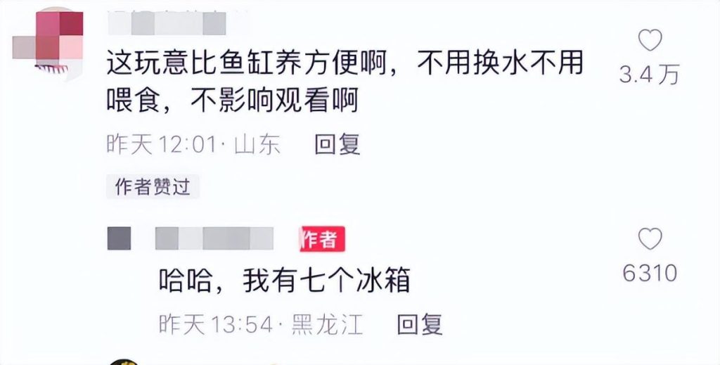 男子囤7冰柜养死的名贵鱼价值百万 （有的鱼还在观赏鱼锦标赛中得过奖）
