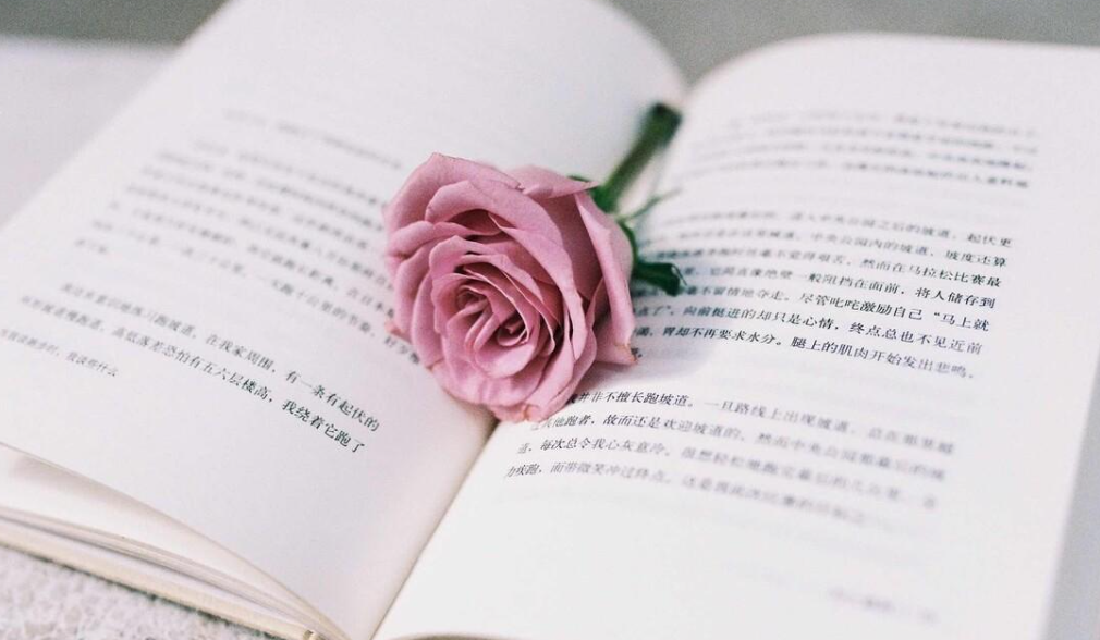 冰心的作品有哪些（冰心的十二部代表作有哪些）