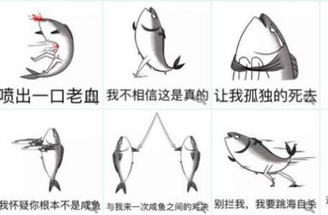咸鱼是什么意思（咸鱼究竟是什么意思呢）
