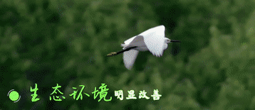 “数说”中国这五年（成为过去五年极不寻常、极不平凡的生动注脚）