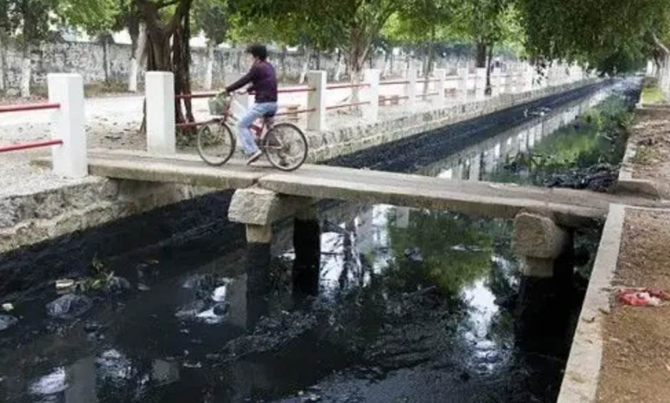洋垃圾是什么东西（中国为什么要进口洋垃圾呢）