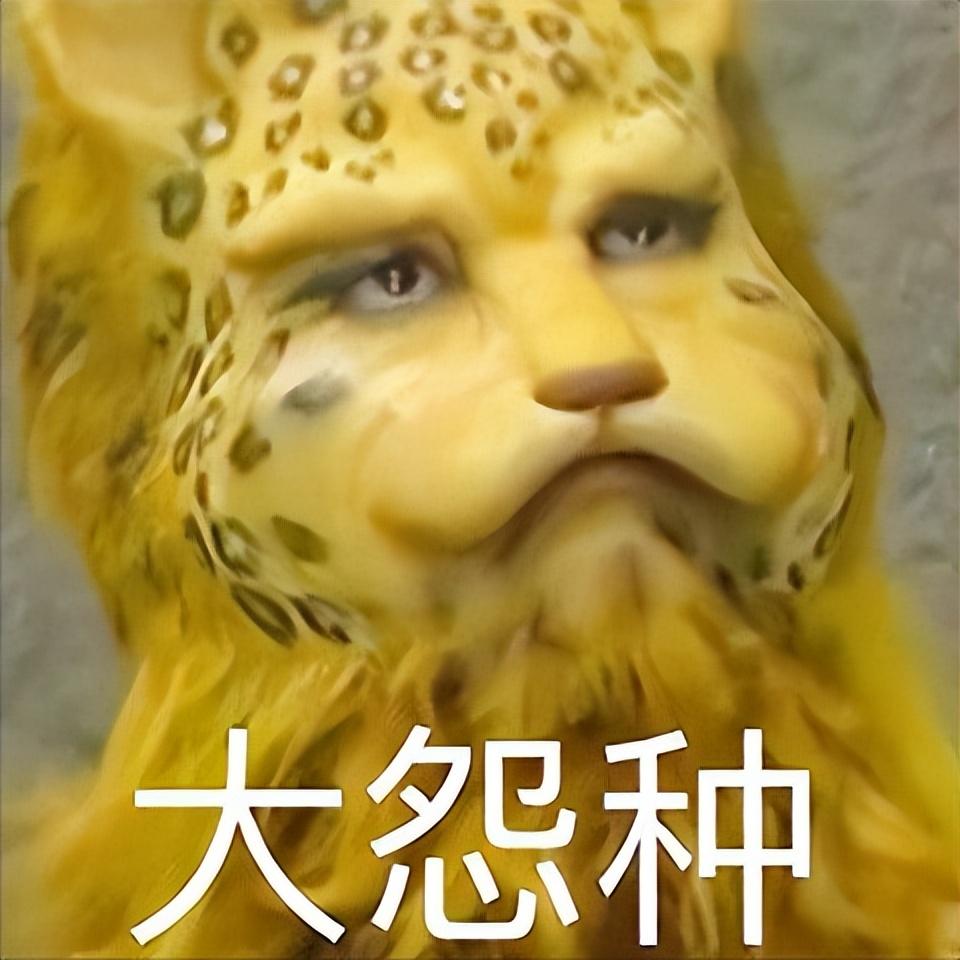 emo是什么意思梗（最新网络用语的含义是什么）