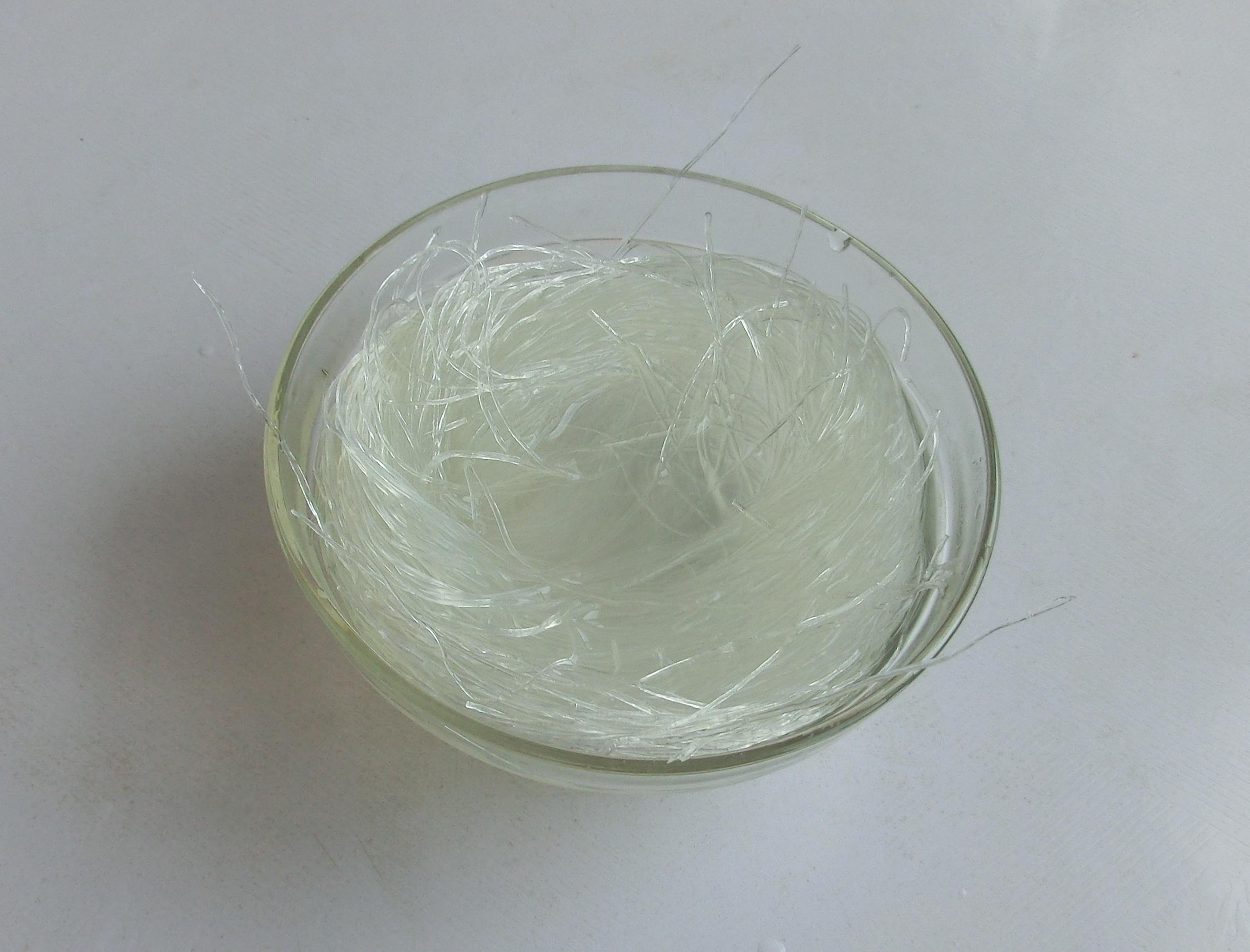 扇贝怎么清洗内脏图解（扇贝怎么清洗才干净）