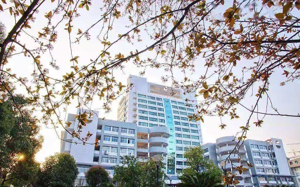 湖南大学排名一览表（湖南省大学排名）