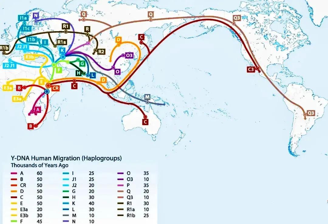 成吉思汗和努尔哈赤的关系（成吉思汗和努尔哈赤是共同祖先吗）