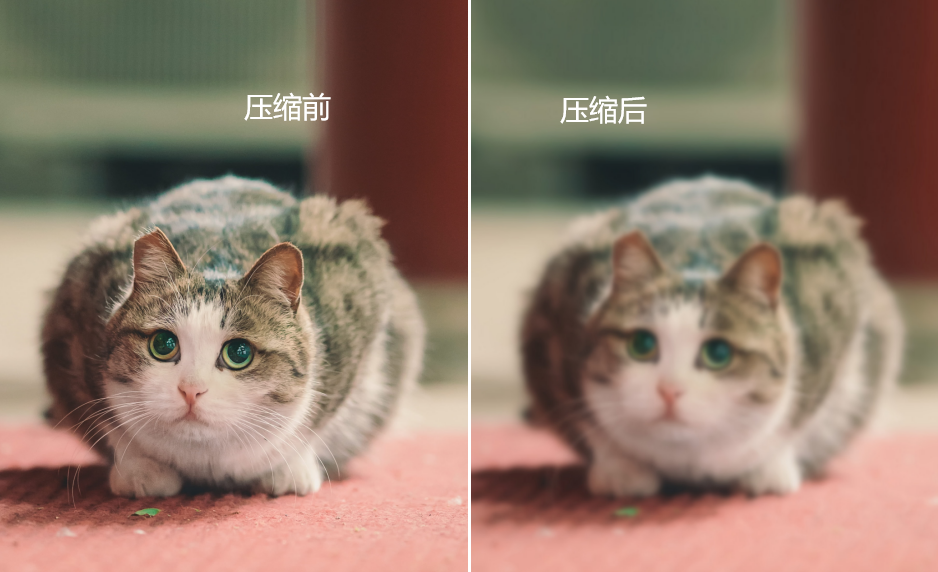 怎么改变图片大小尺寸（改变图片大小尺寸的方法）