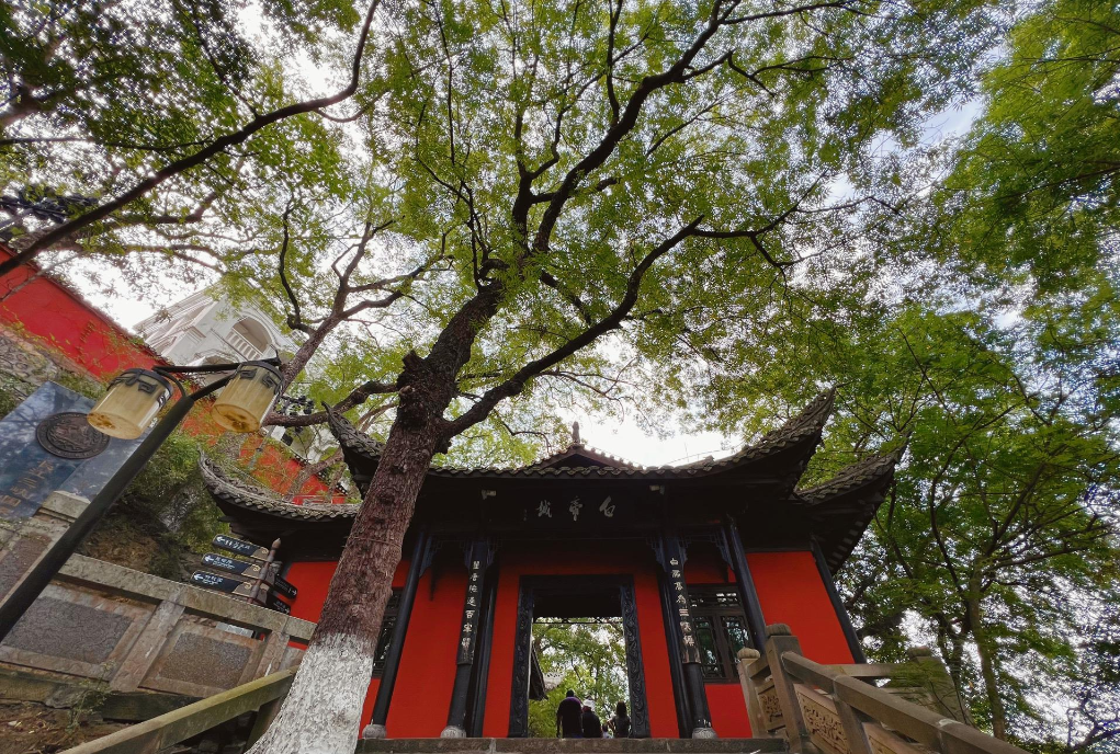白帝城位于什么地方（古诗里的白帝城究竟在哪里呢）