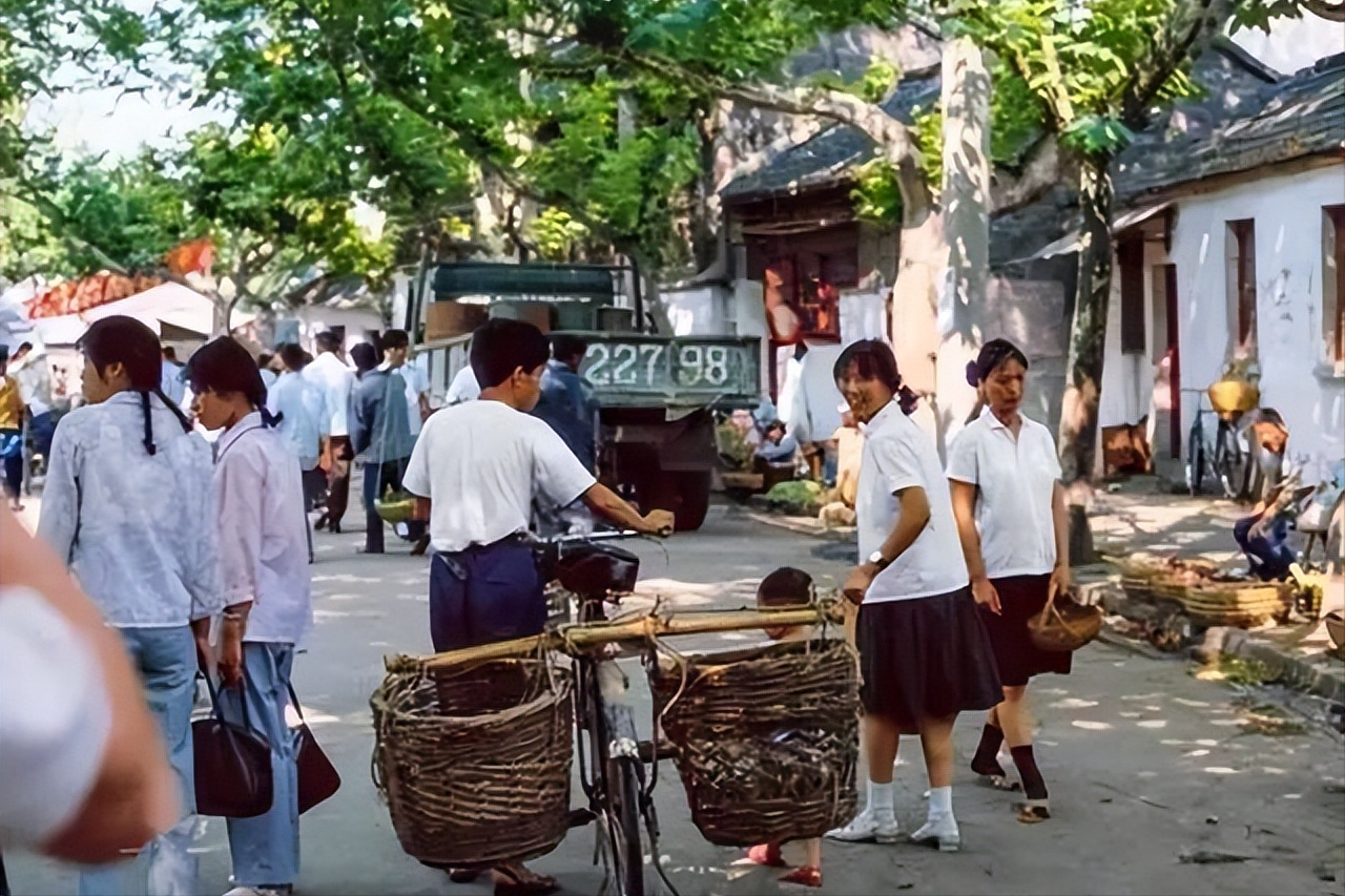经典都市小说（七本冷门但是好看的小说是哪些）