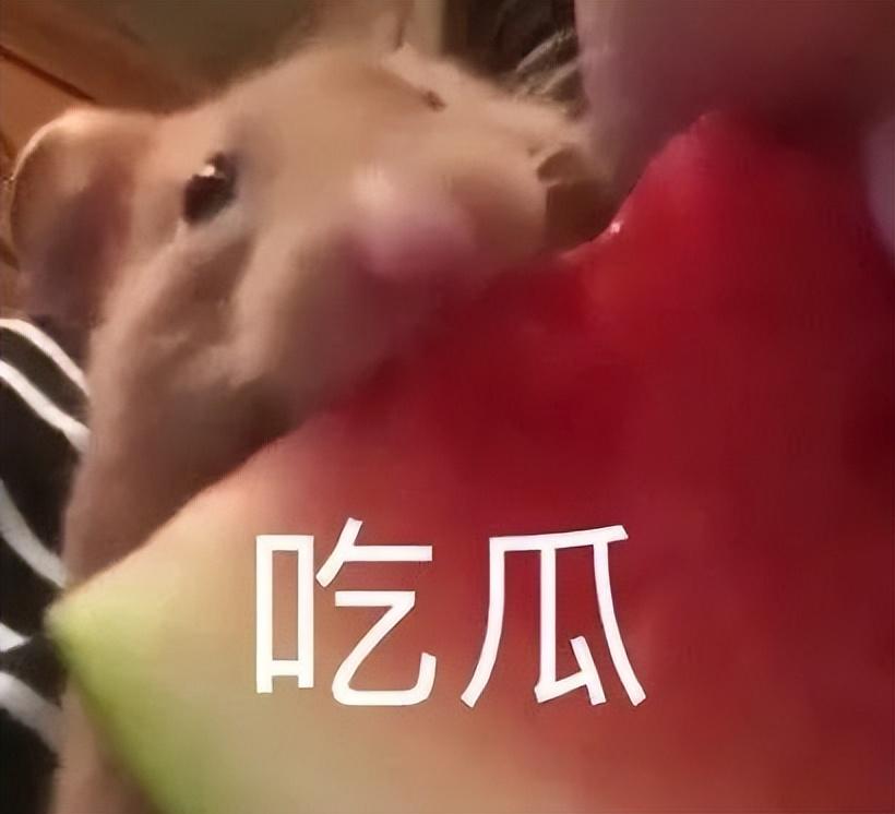 typec接口是什么意思（苹果终于确认，iPhone要换Type-C接口了）
