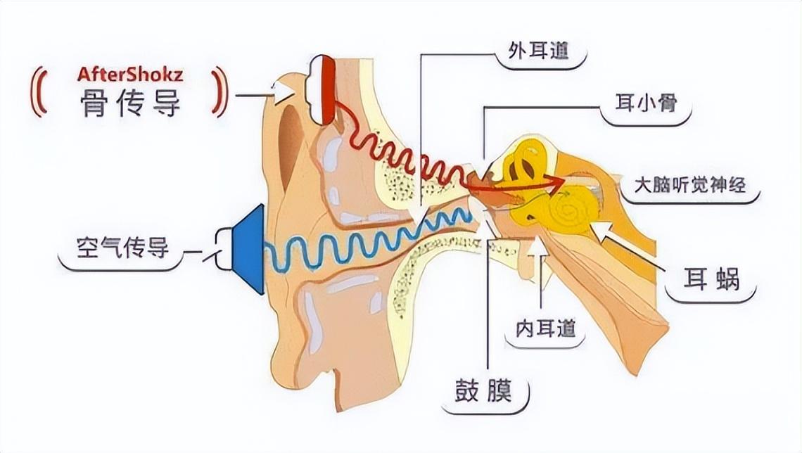 颈挂式蓝牙耳机排行榜10强（最值得买的10款耳机）