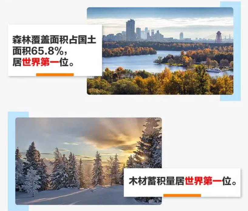 友谊、合作、和平之旅（对俄罗斯进行国事访问）