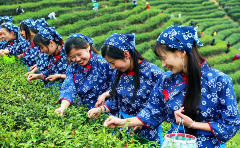 打卡中国各地奋斗第一线（且看各行各业第一线都在忙什么？）