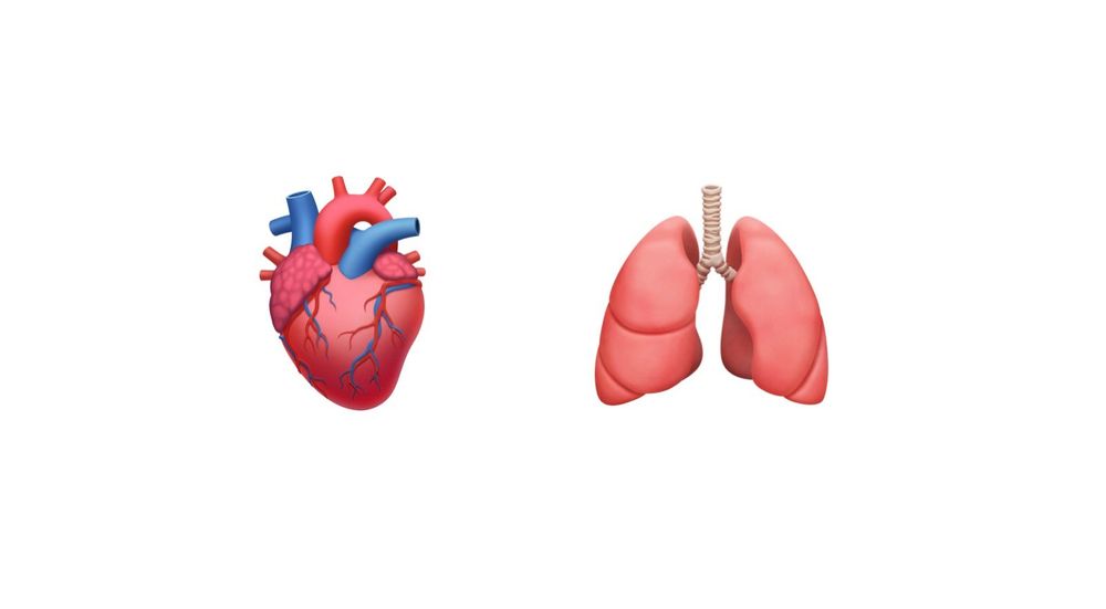 emoji比心的手在哪里（iOS和安卓全新的emoji表情是什么）