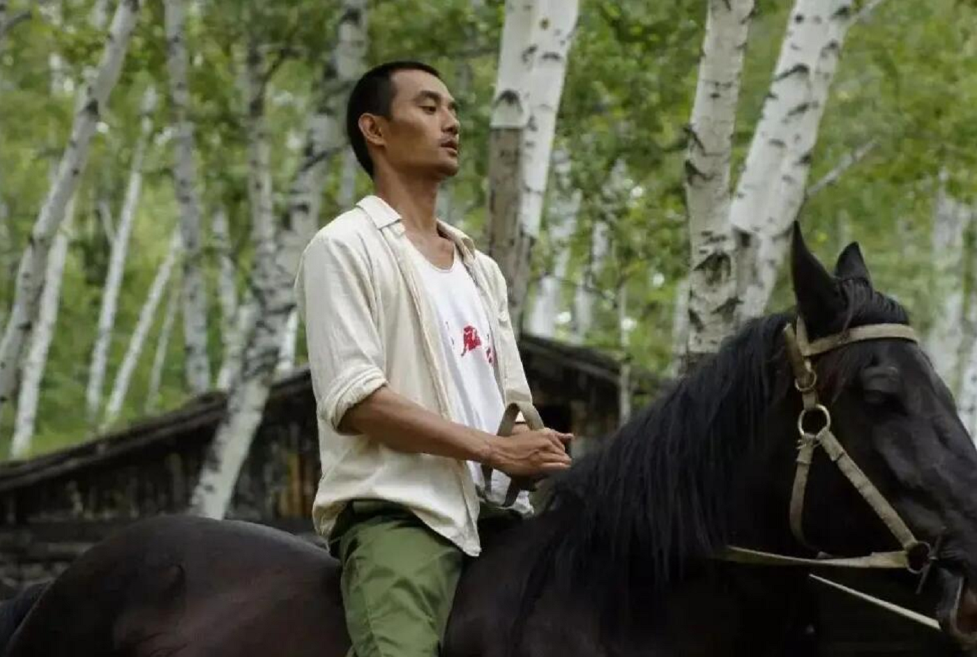 电视剧知青演员表全部介绍（电视剧知青演员现在都怎么样了）