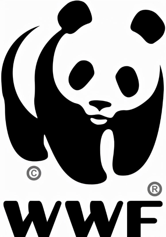 熊猫的特点和生活特征和爱好（大熊猫有哪些生活习性，为什么还能促进中外友好呢）