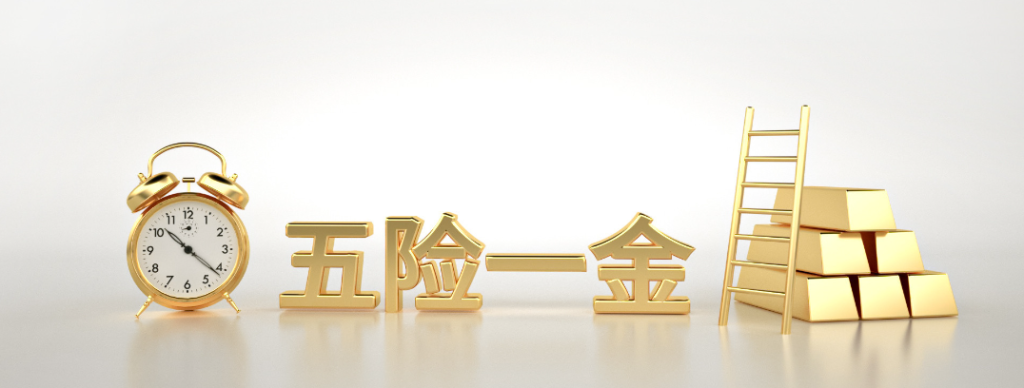 个人五险一金怎么查询（五险一金的具体查询方法）