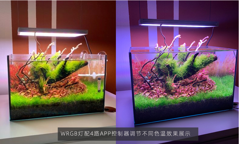 水草灯哪个牌子好（水草灯应该怎么去选呢）