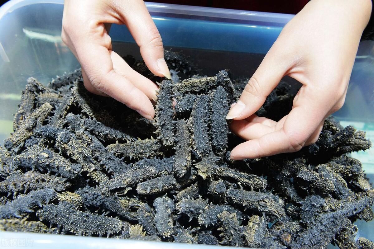 干海参有效期可存放几年（干海参的保质期是多久）