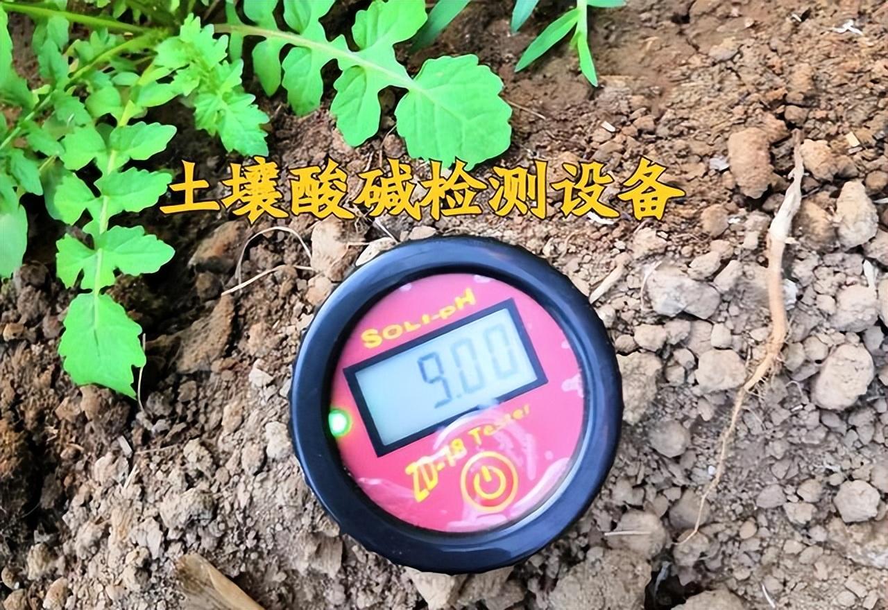生石灰的主要成分是什么（生石灰是如何解决土壤酸化、土壤病害的）