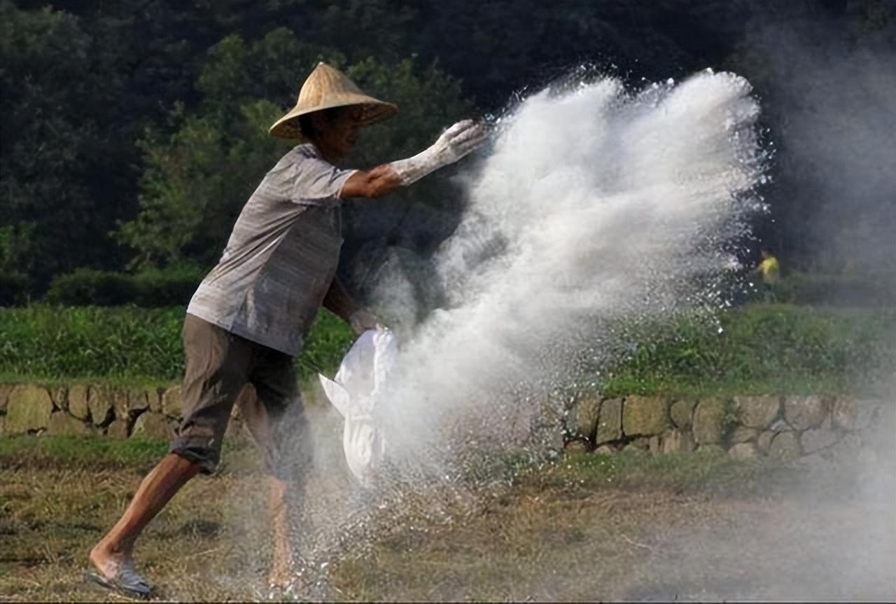 生石灰的主要成分是什么（生石灰是如何解决土壤酸化、土壤病害的）