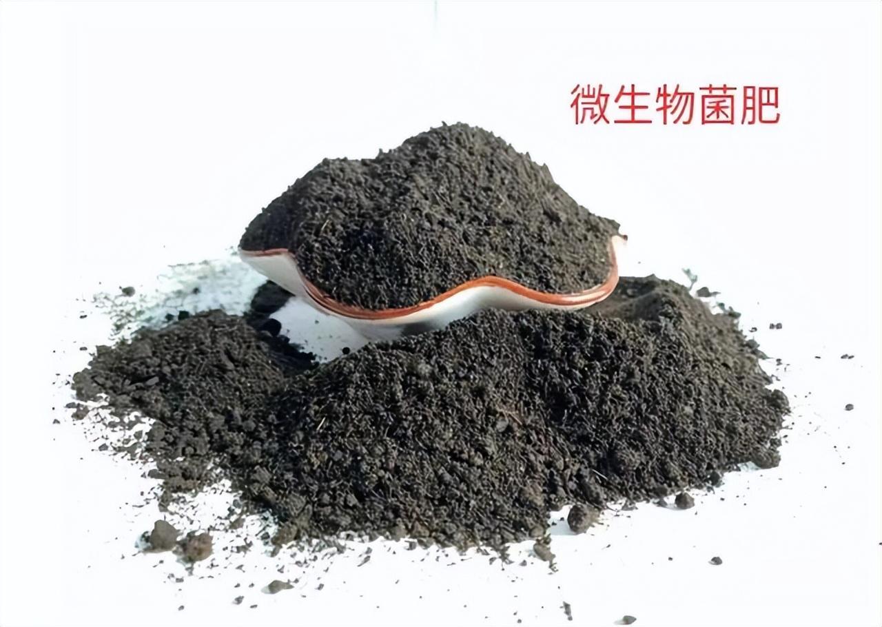 生石灰的主要成分是什么（生石灰是如何解决土壤酸化、土壤病害的）