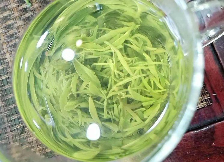 雨前和明前茶的区别（雨前茶和明前茶有什么区别呢）