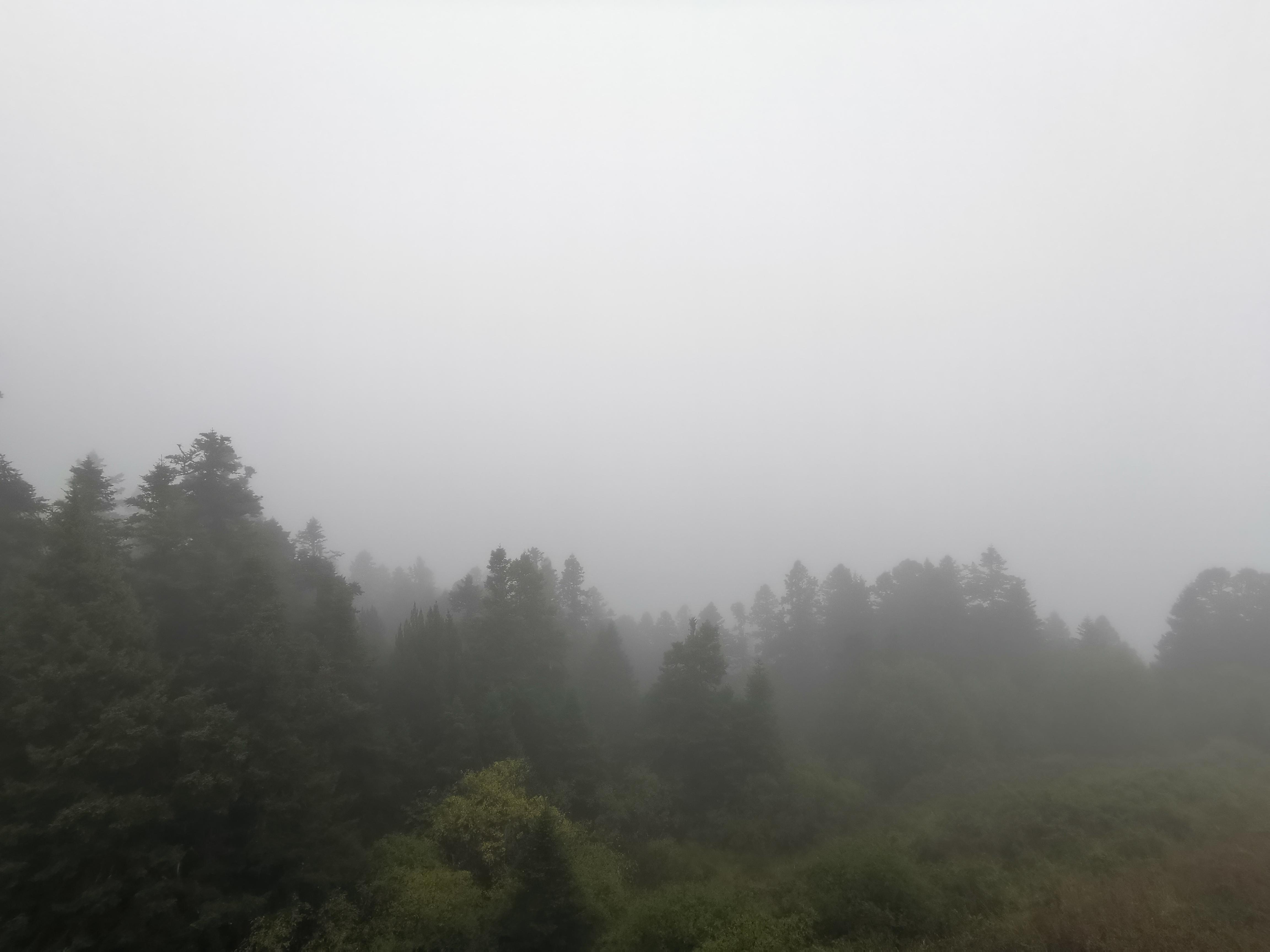 黄龙海拔高度是多少米（藏区海拔高的地方旅行需谨慎）