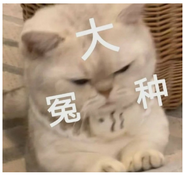 大冤种什么意思（网络语大冤种是什么意思）