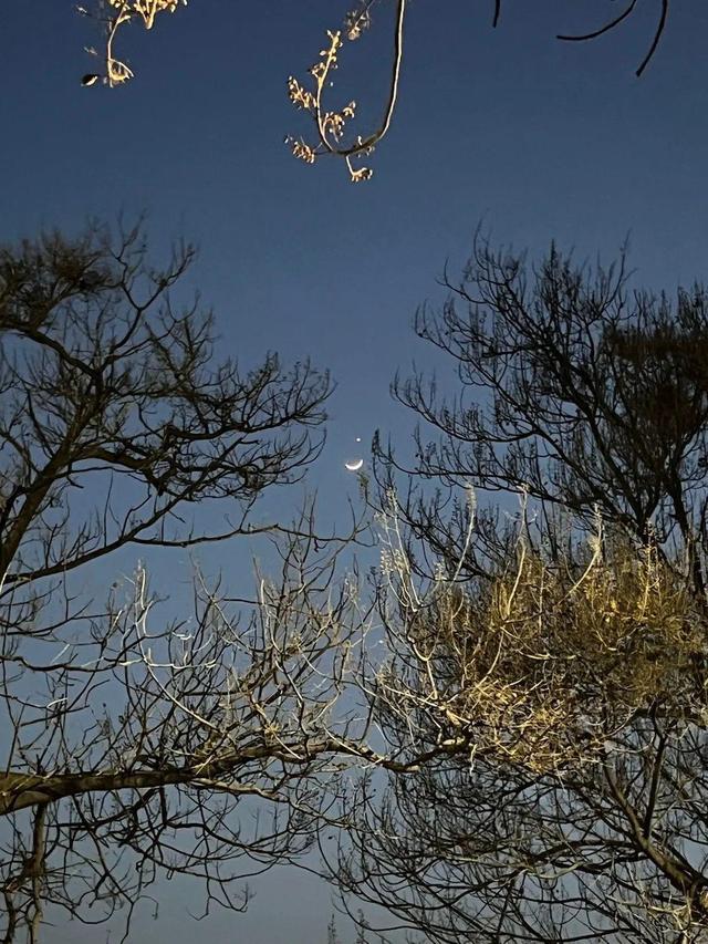 被月亮星星浪漫到了（月掩金星，天象亮相天宇）