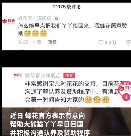 认养大熊猫1年10万终身100万（<strong>国货老品牌蜂花准备认养“丫丫”</strong>）