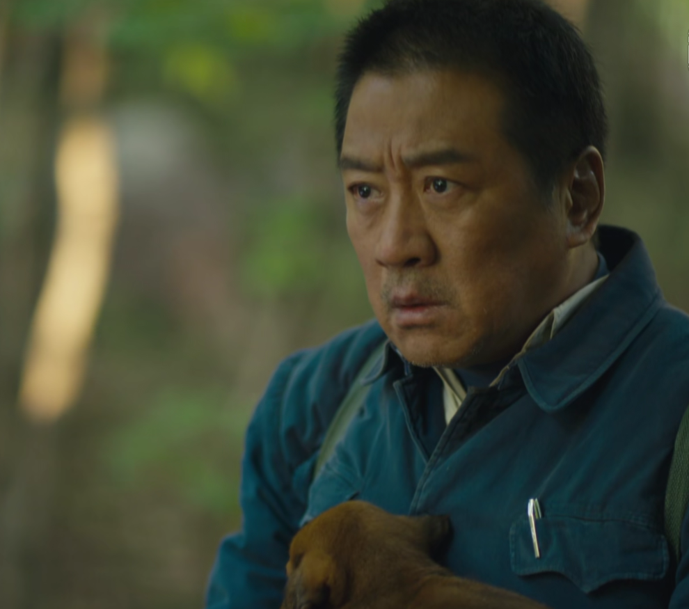 请问电视剧人世间共多少集（人世间电视剧剧情介绍）
