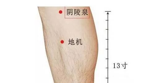 艾灸后寒气从哪里排出（三伏天艾灸养生正确吗）