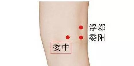艾灸后寒气从哪里排出（三伏天艾灸养生正确吗）