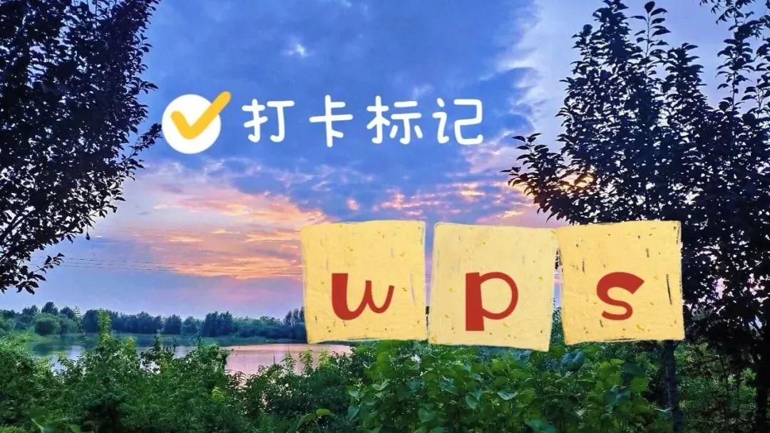 怎么在word里打钩符号（在word方框里打勾的方法）