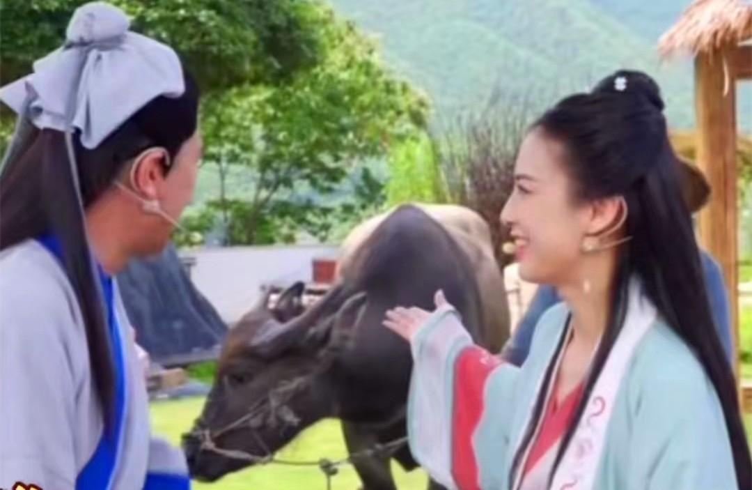 杨子是谁多么有钱（杨子黄圣依夫妻怎么样）