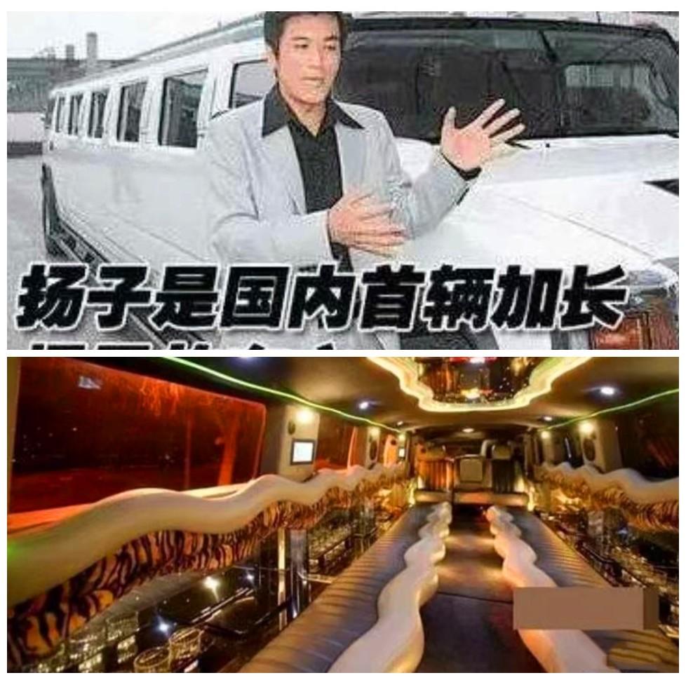 杨子是谁多么有钱（杨子黄圣依夫妻怎么样）