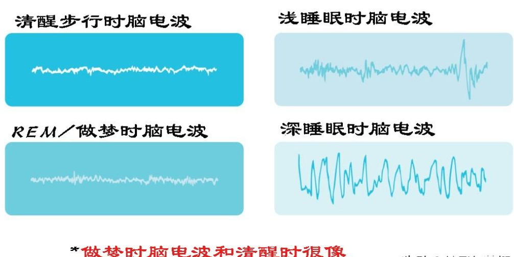 关于梦的解释有哪些（解析人为什么会做梦呢）