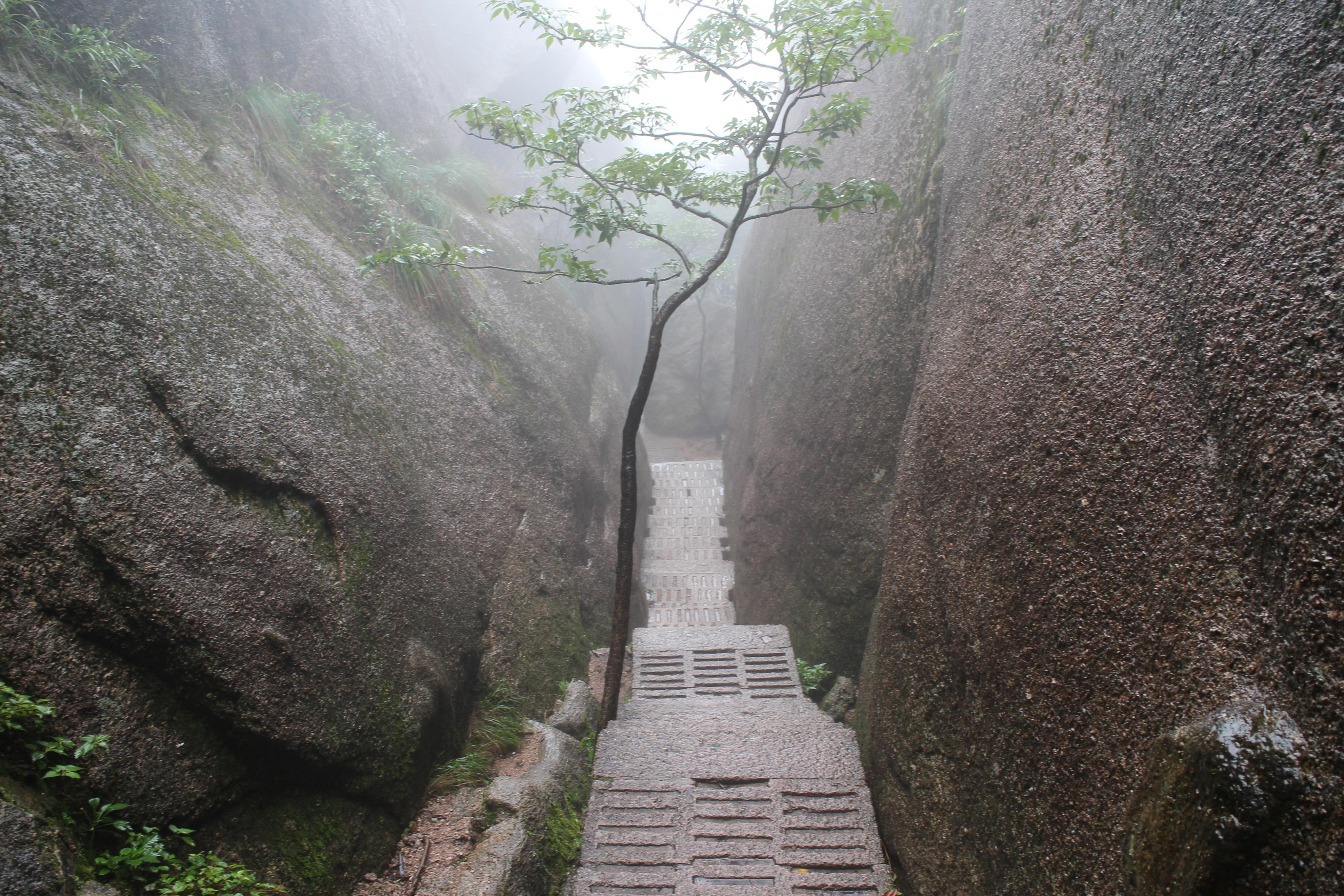 黄山旅游攻略三日游（黄山两天一夜的旅游攻略）