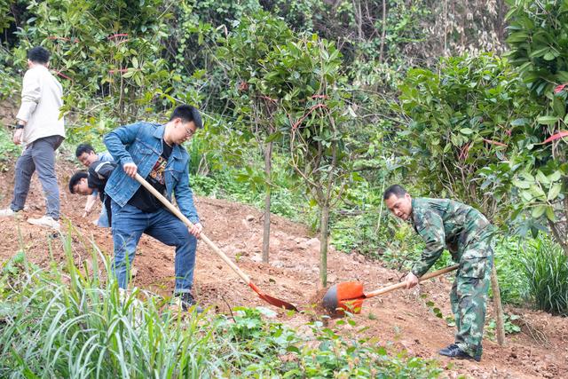 中国为世界交出“绿色答卷”（深入实施大规模国土绿化行动）
