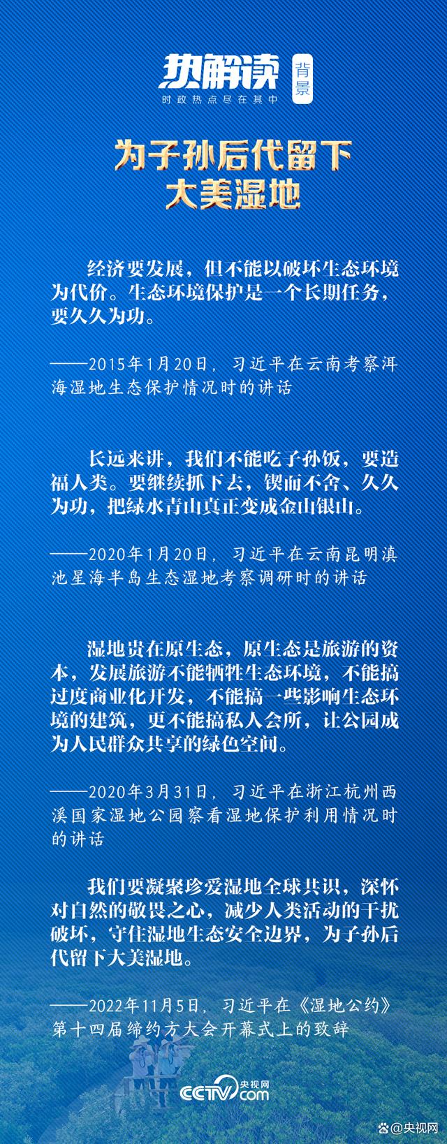 红树林边的瞩望（把红树林保护好）